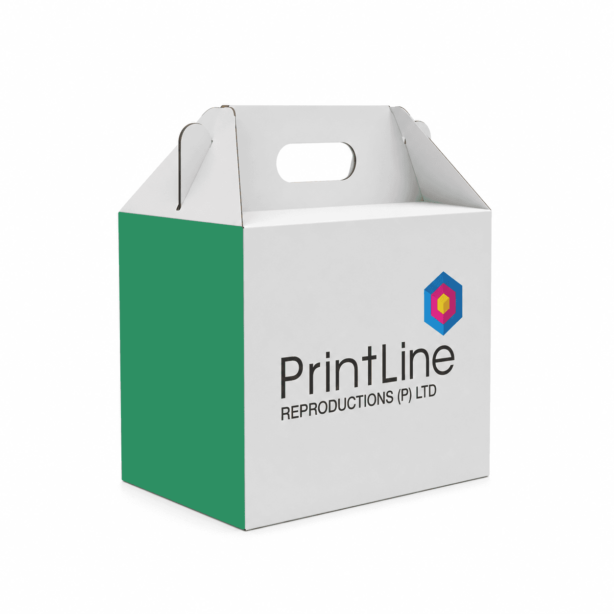 Gable Box (Handle Box) folding carton